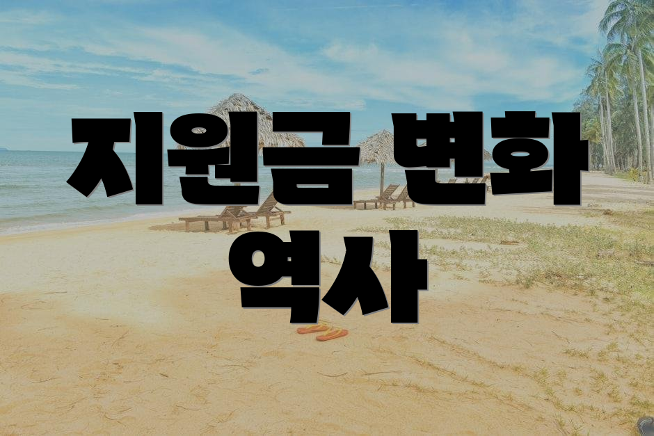 지원금 변화 역사