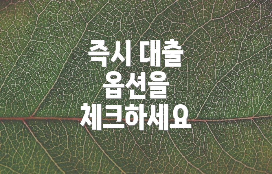 즉시 대출 옵션을 체크하세요