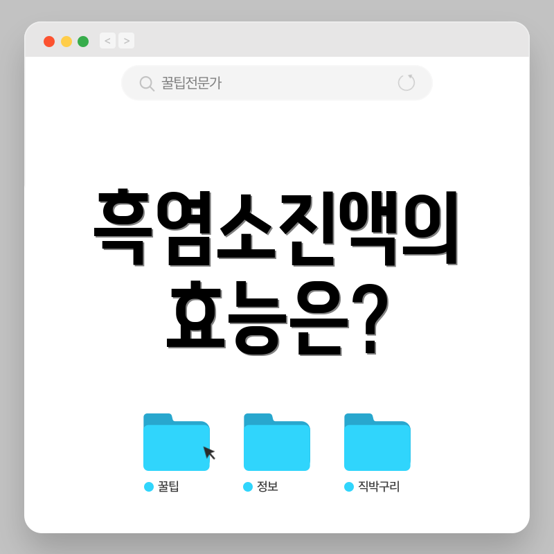 흑염소진액의 효능은?