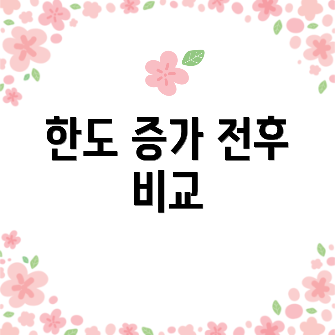 한도 증가 전후 비교