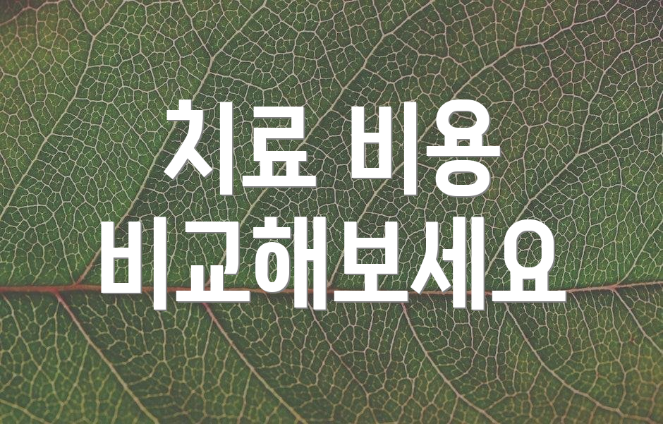치료 비용 비교해보세요