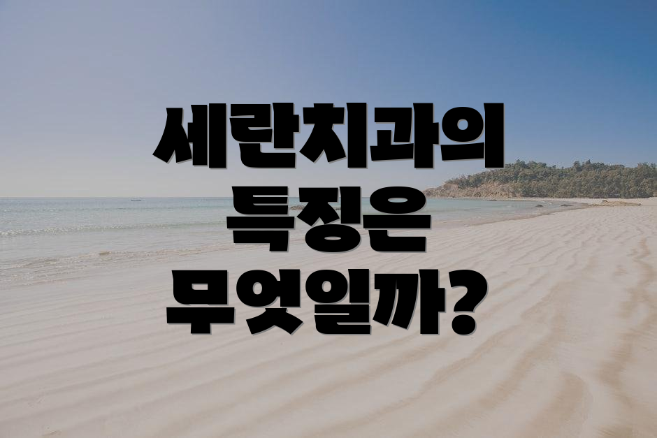세란치과의 특징은 무엇일까?