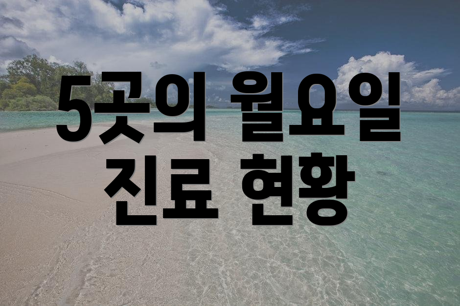 5곳의 월요일 진료 현황