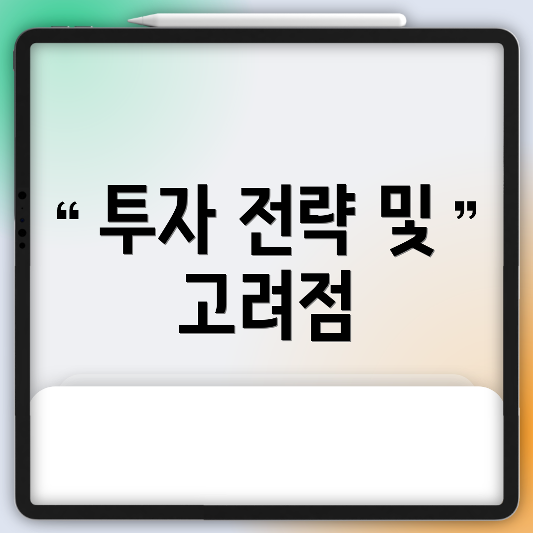 투자 전략 및 고려점