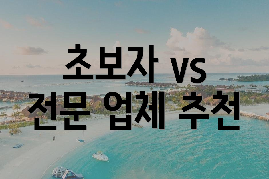 초보자 vs 전문 업체 추천