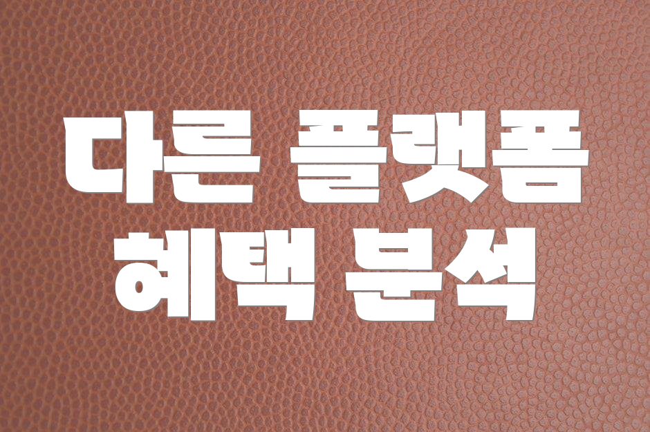 다른 플랫폼 혜택 분석