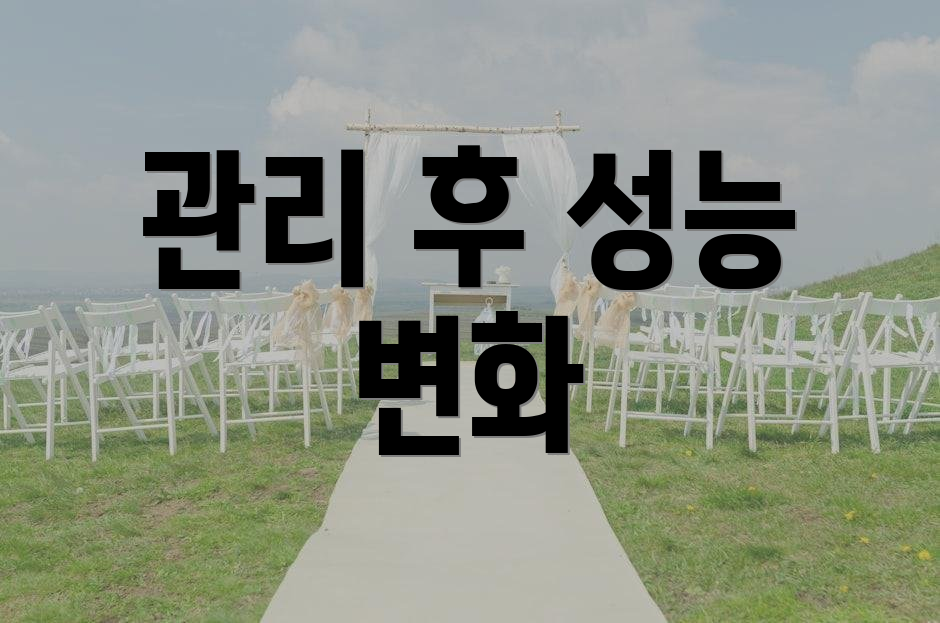 관리 후 성능 변화