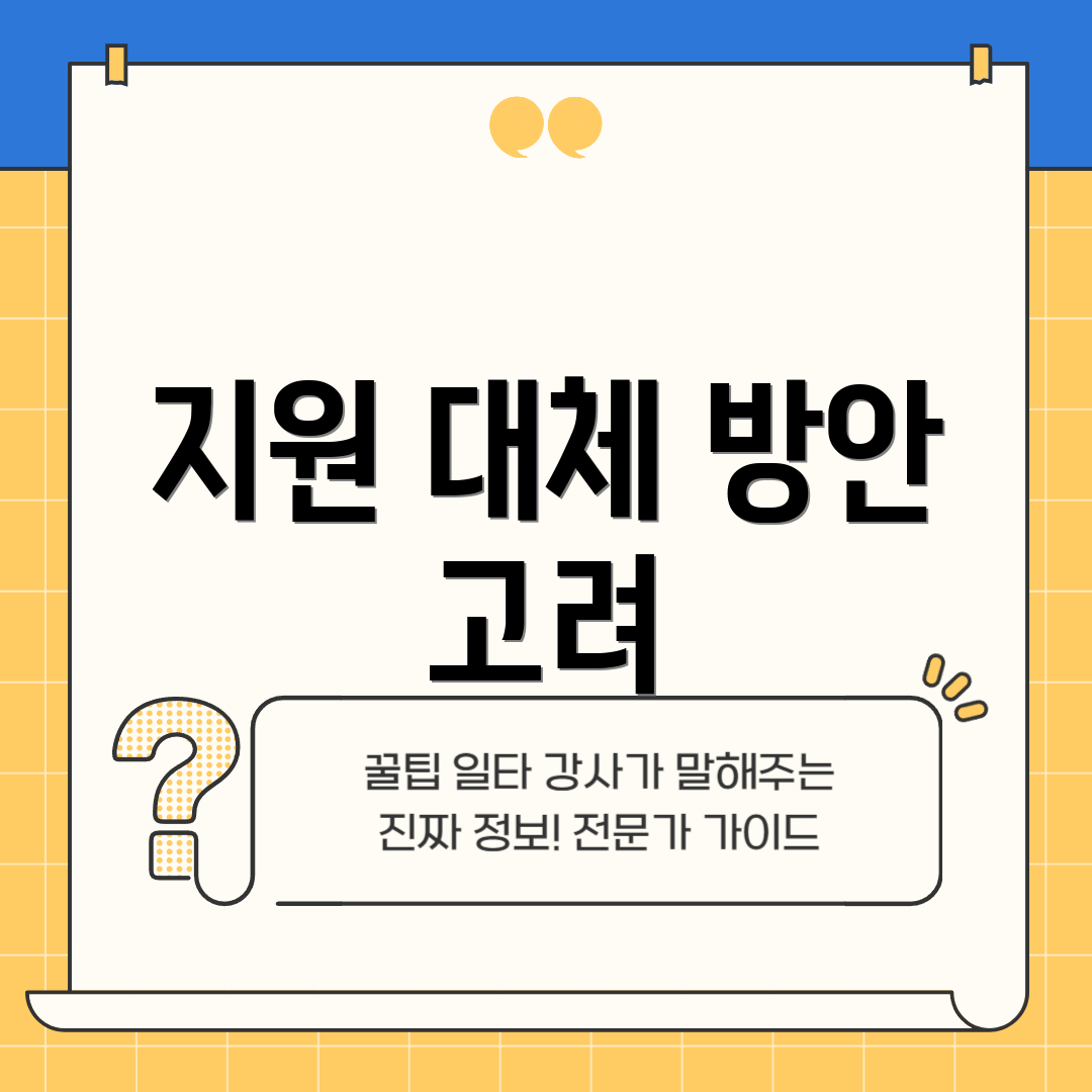 지원 대체 방안 고려