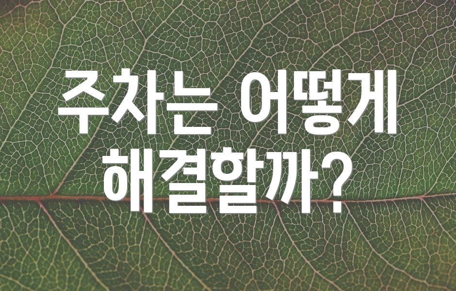 주차는 어떻게 해결할까?