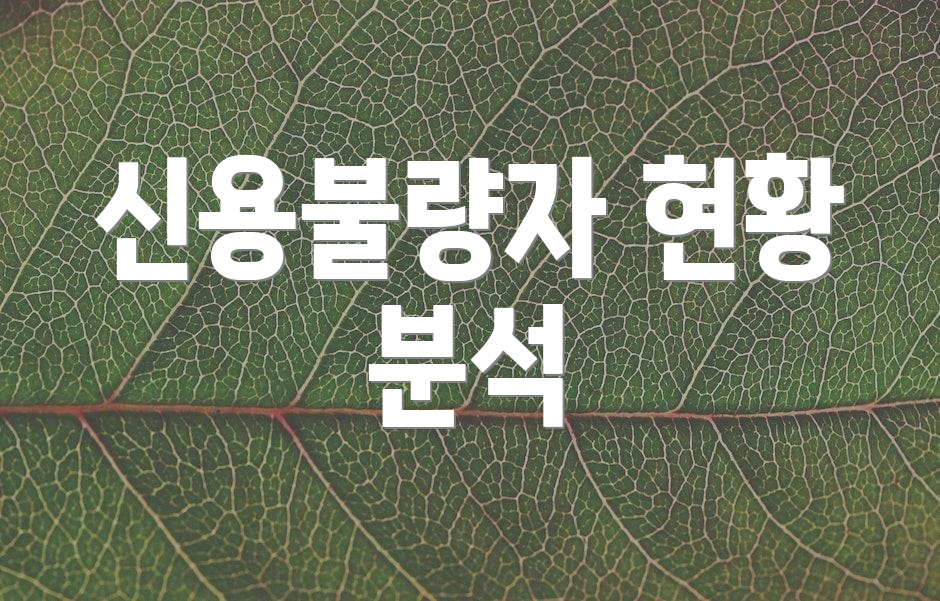 신용불량자 현황 분석