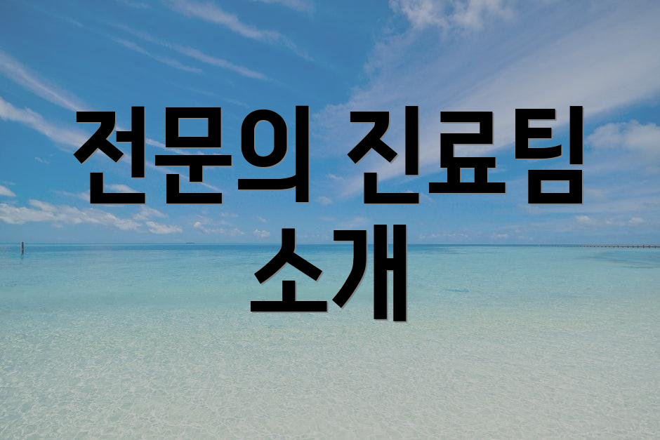 전문의 진료팀 소개
