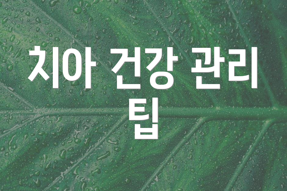치아 건강 관리 팁