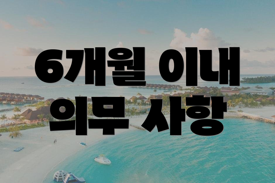 6개월 이내 의무 사항