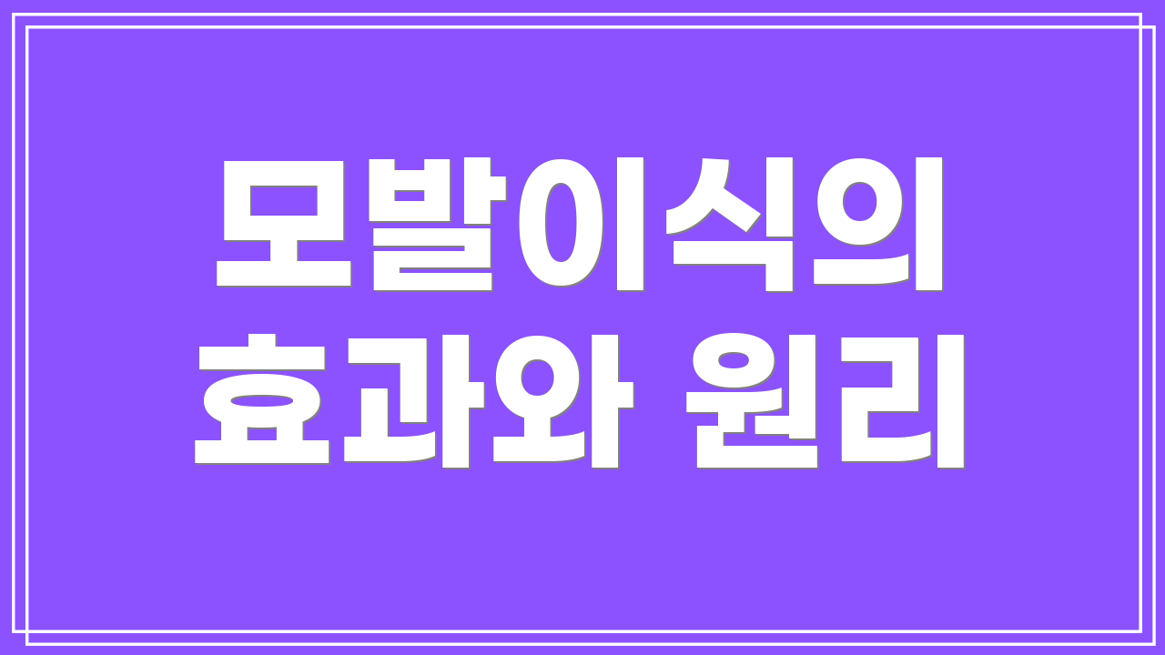 모발이식의 효과와 원리