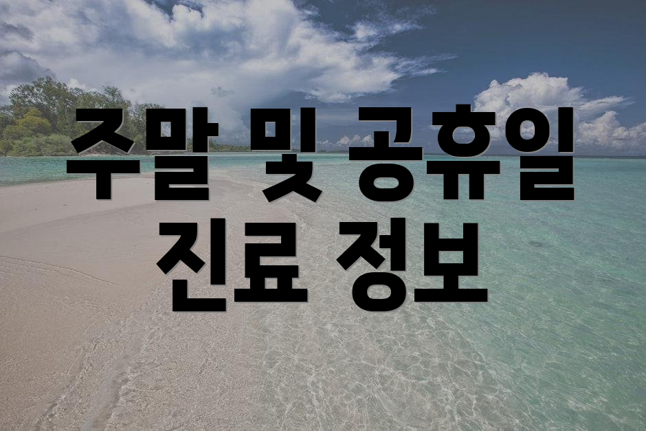 주말 및 공휴일 진료 정보