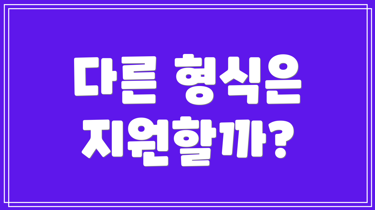 다른 형식은 지원할까?
