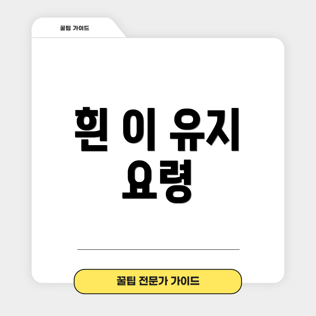 흰 이 유지 요령