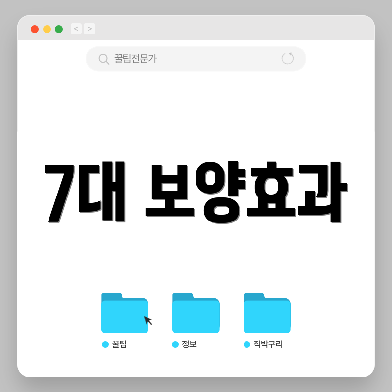 7대 보양효과