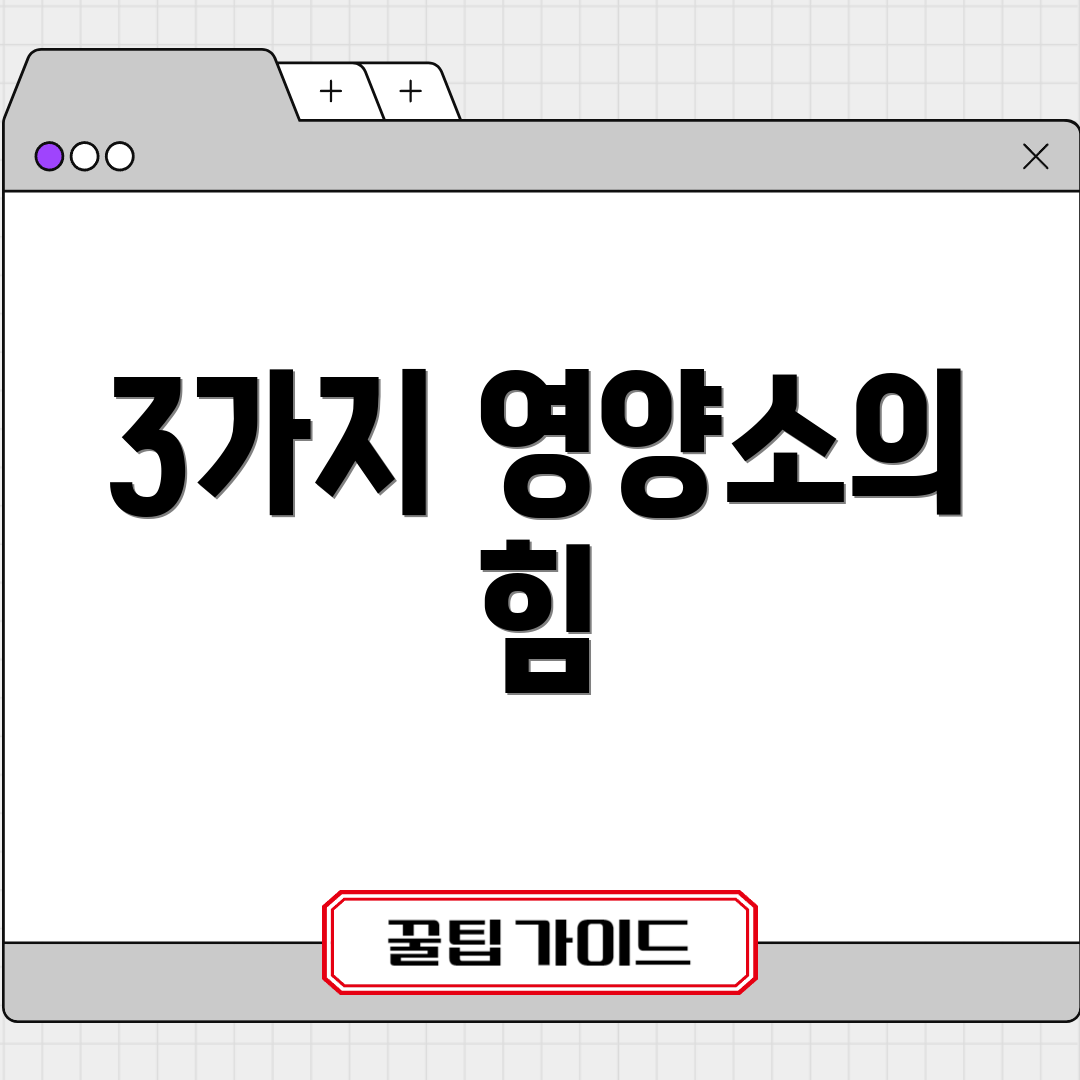 3가지 영양소의 힘