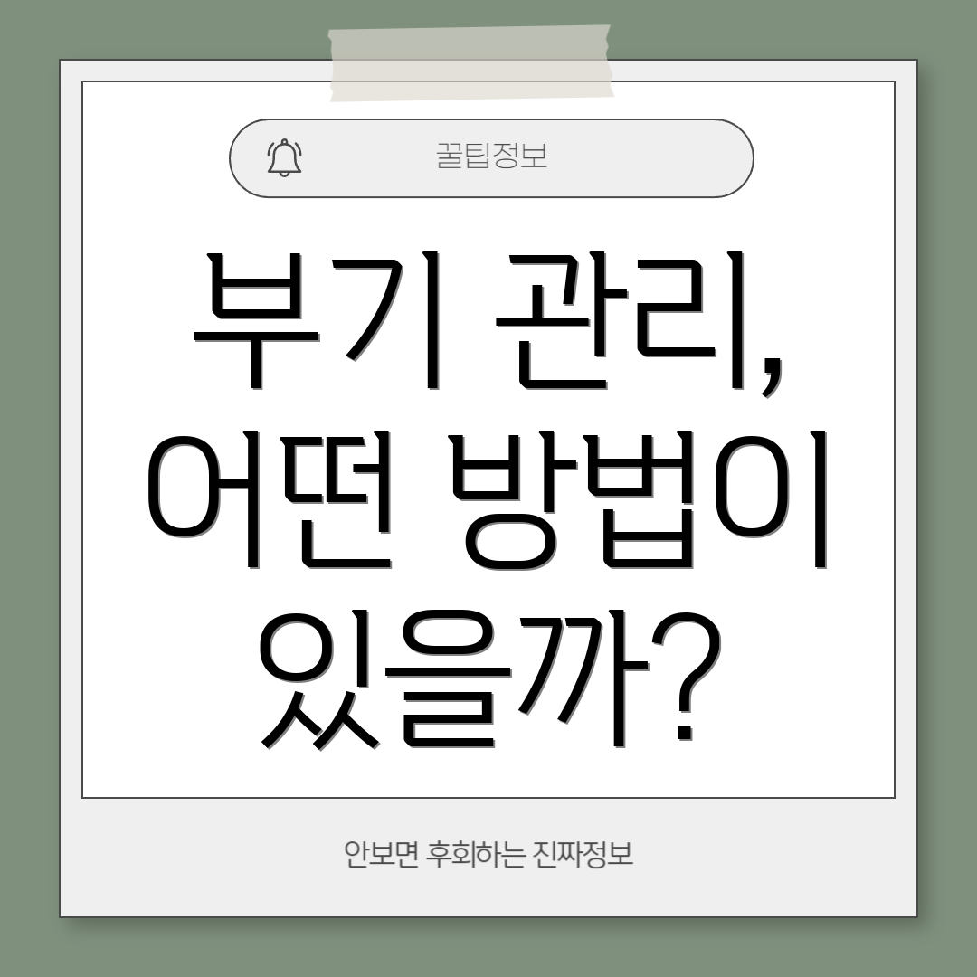 부기 관리, 어떤 방법이 있을까?