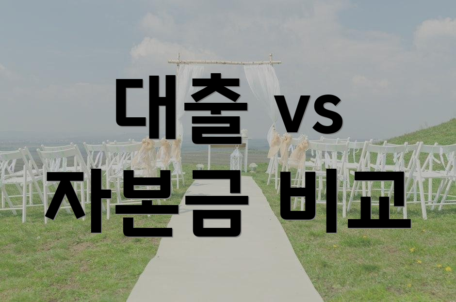 대출 vs 자본금 비교