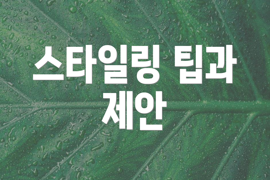 스타일링 팁과 제안