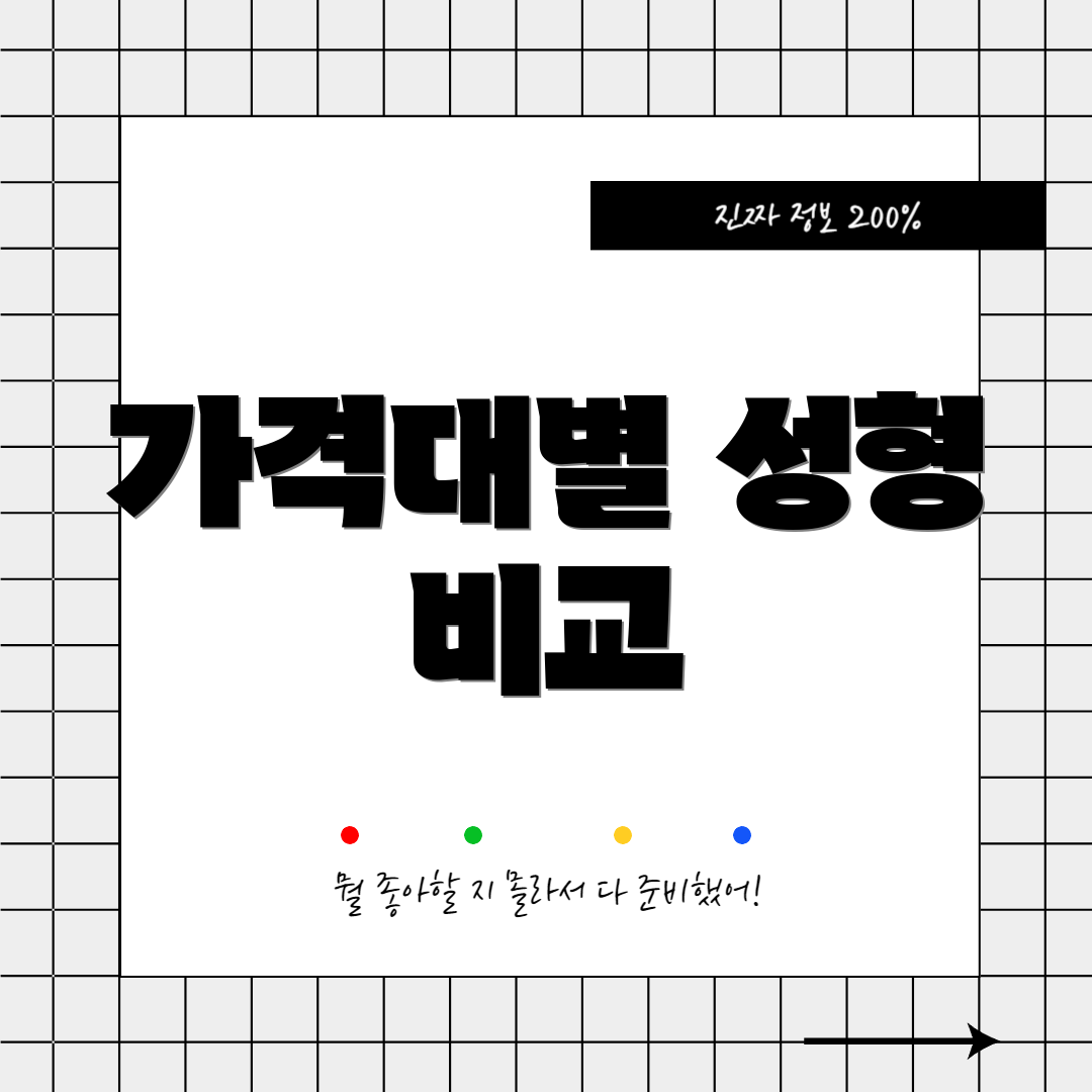 가격대별 성형 비교