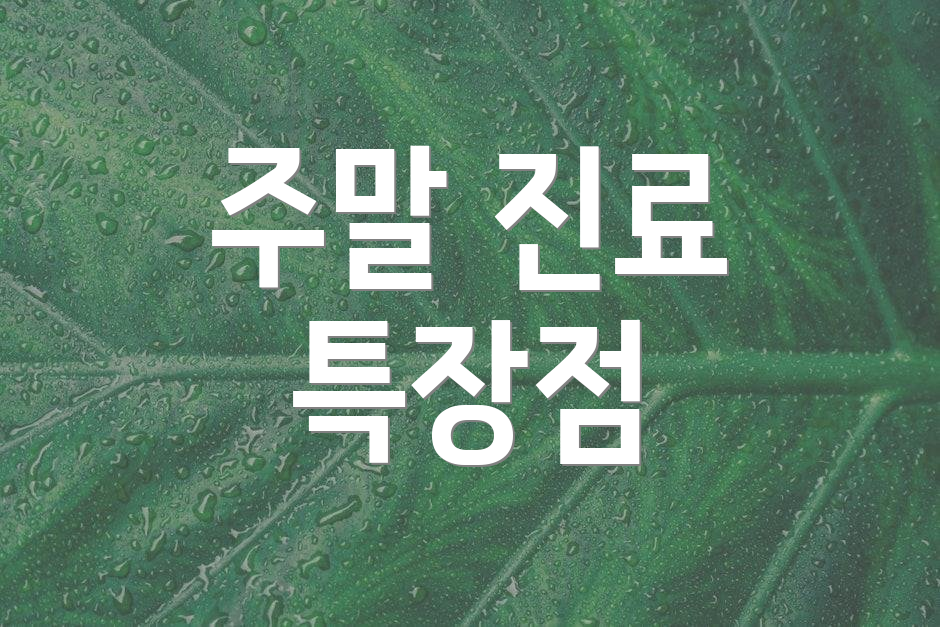 주말 진료 특장점