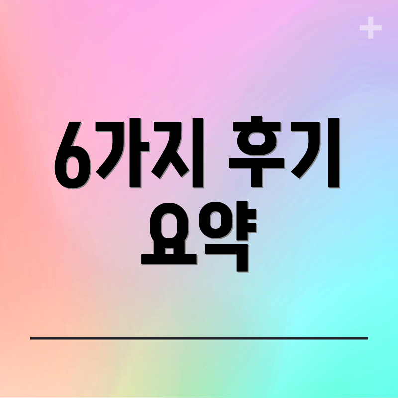 6가지 후기 요약
