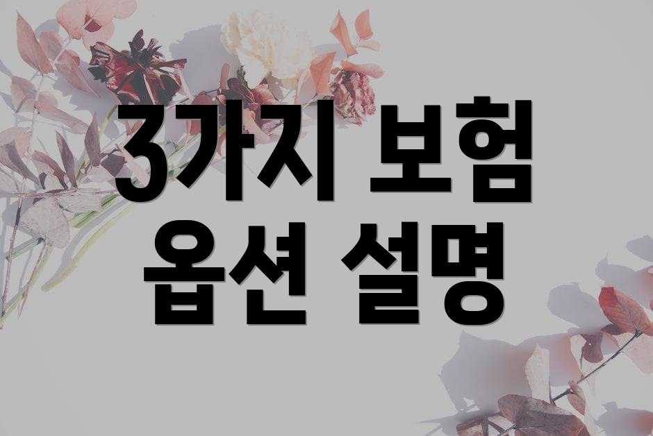 3가지 보험 옵션 설명