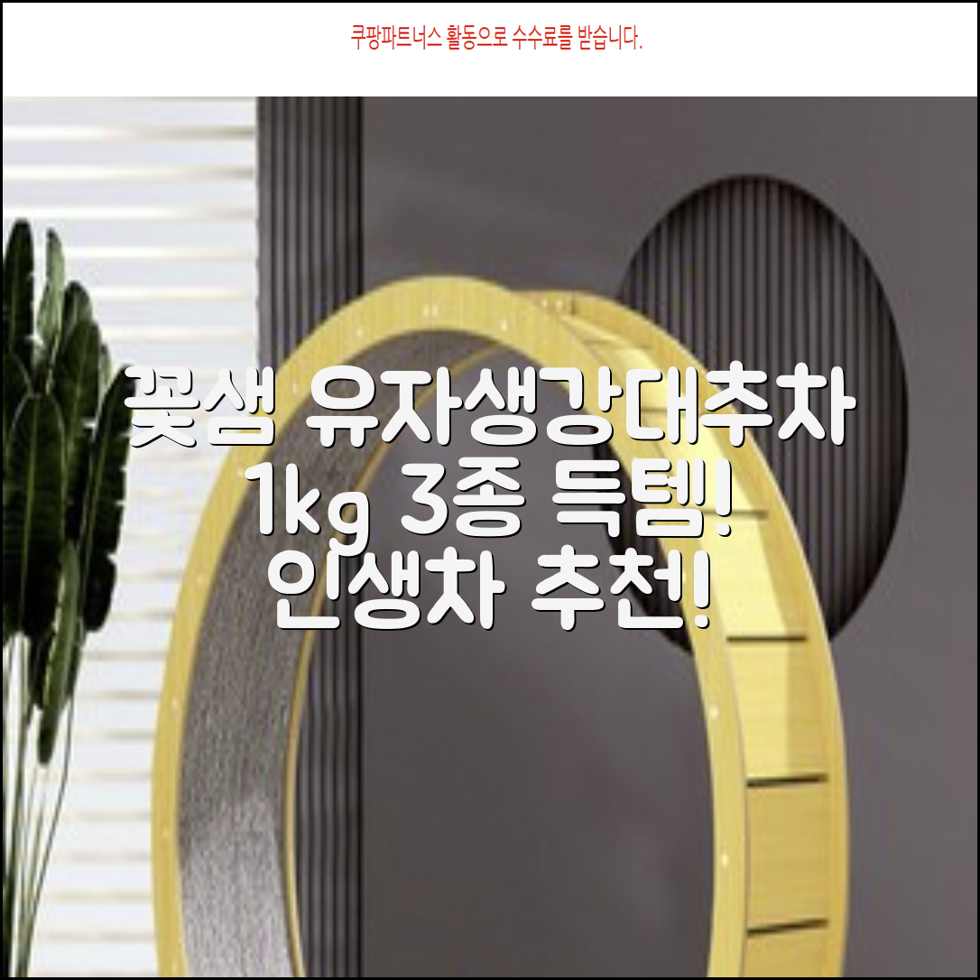 꽃샘 유자차S 1kg *생강차S 1kg *대추차 1kg, 1개, 1개 추천 리뷰