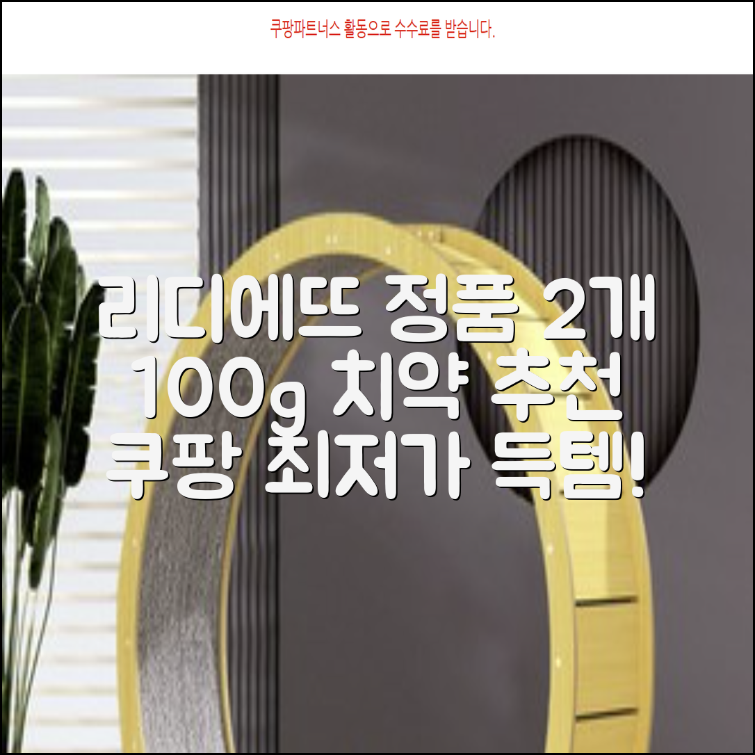 정품 리디에뜨 리디잇 치약, 100g, 2개 추천 리뷰