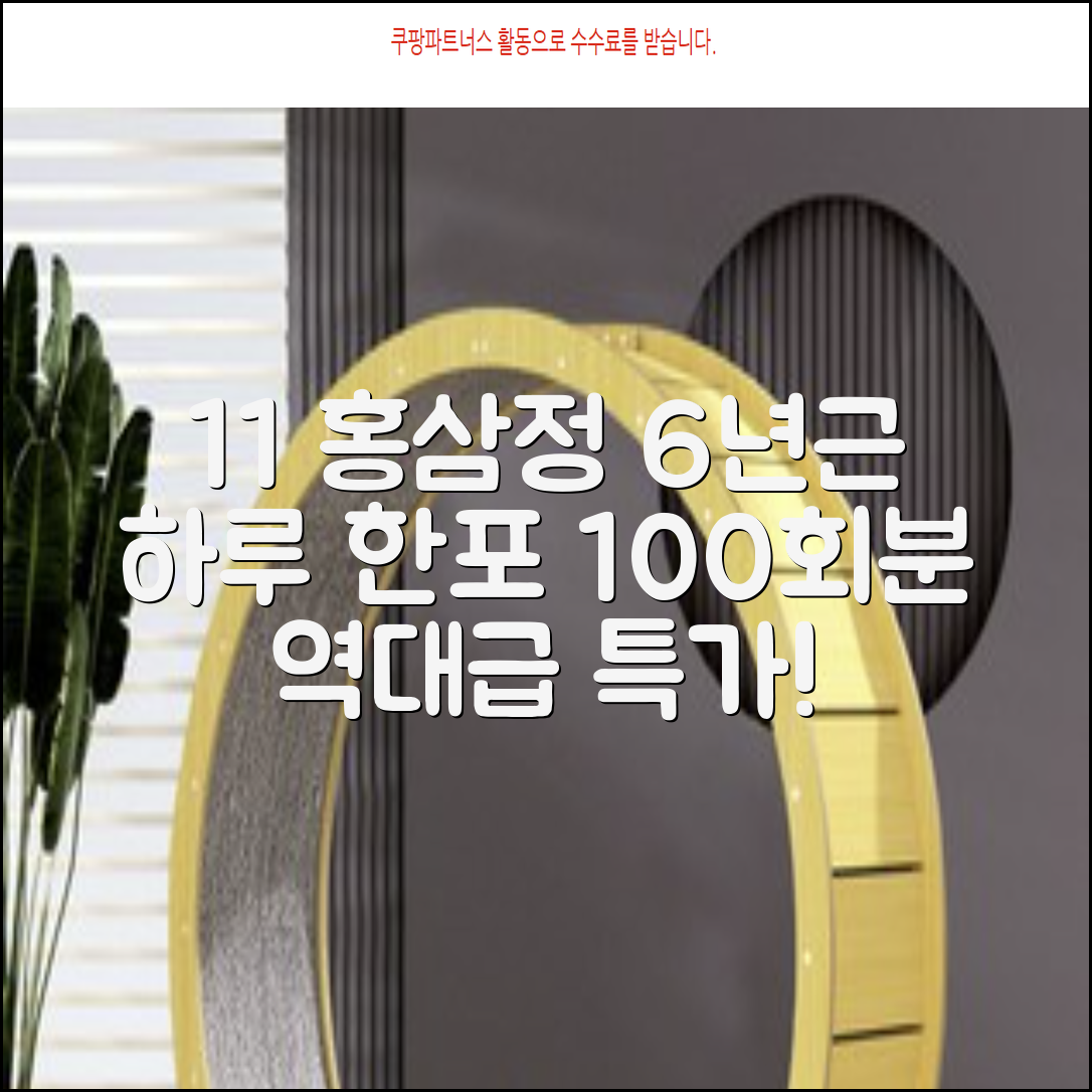 [1+1 특가] 홍삼정 6년근 하루한포 100회분 대용량+쇼핑백, 2개, 1L 추천 리뷰