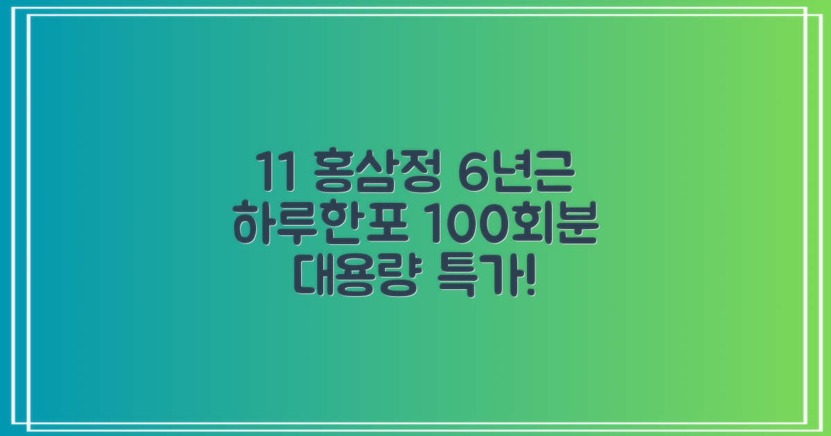 [1+1 특가] 홍삼정 6년근 하루한포 100회분 대용량+쇼핑백, 2개, 1L 추천 리뷰