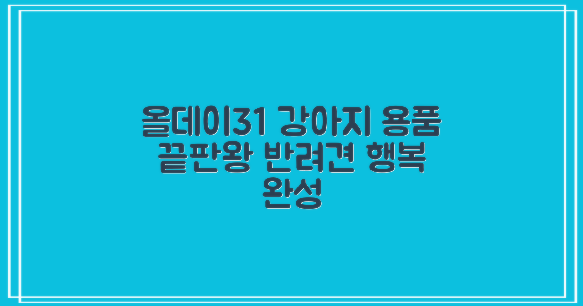 강아지 용품, 올데이31로 완성하세요!