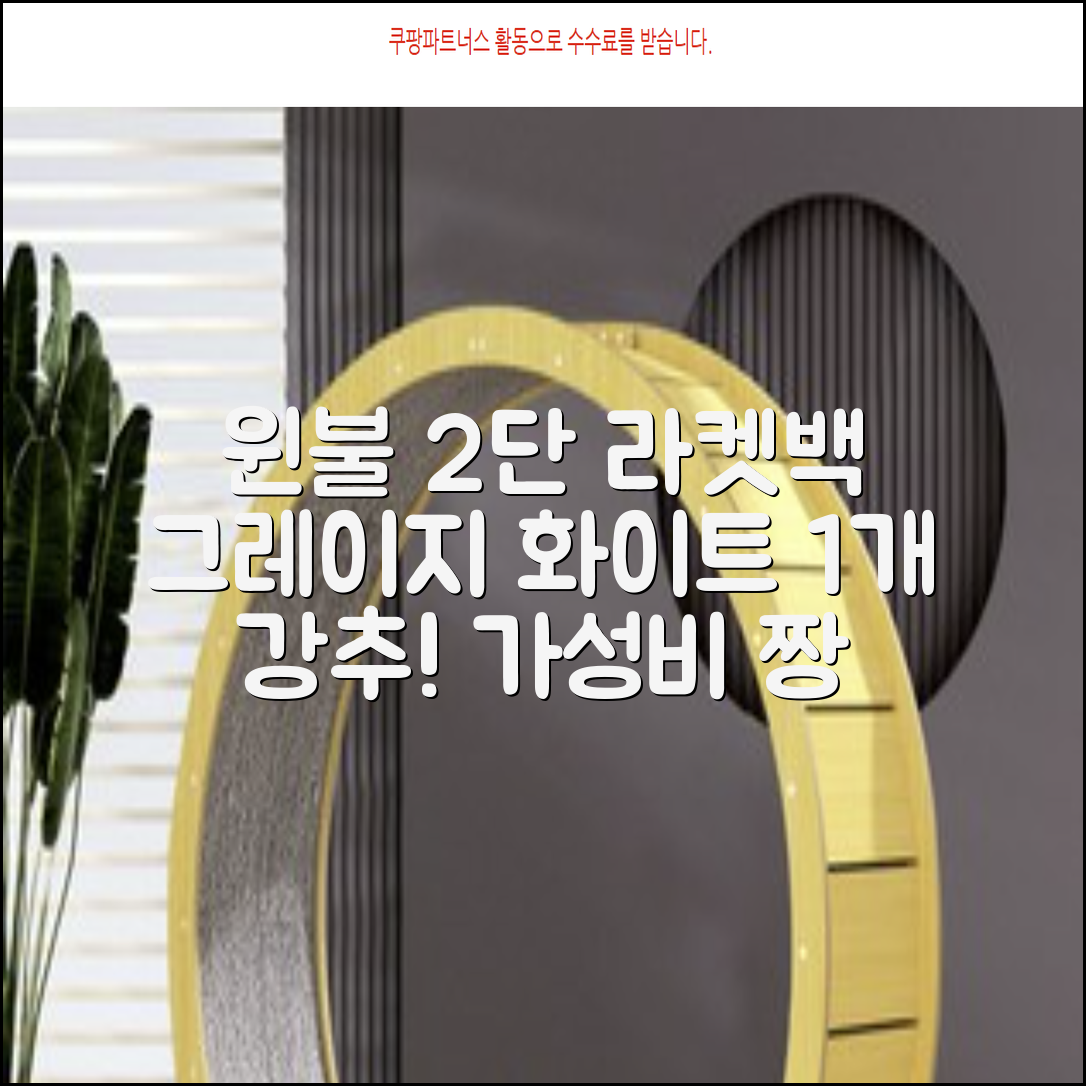 윈불 2단 배드민턴 테니스 라켓 가방, 그레이지 화이트, 1개 추천 리뷰