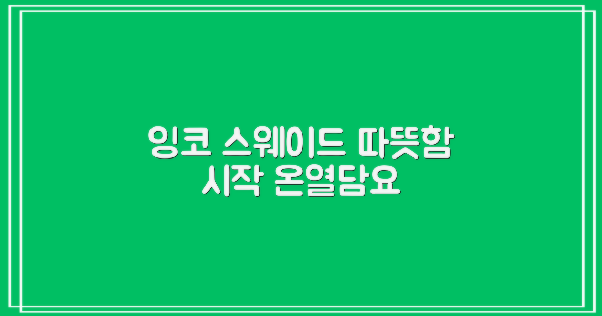 잉코 스웨이드 온열담요, 따뜻함의 시작