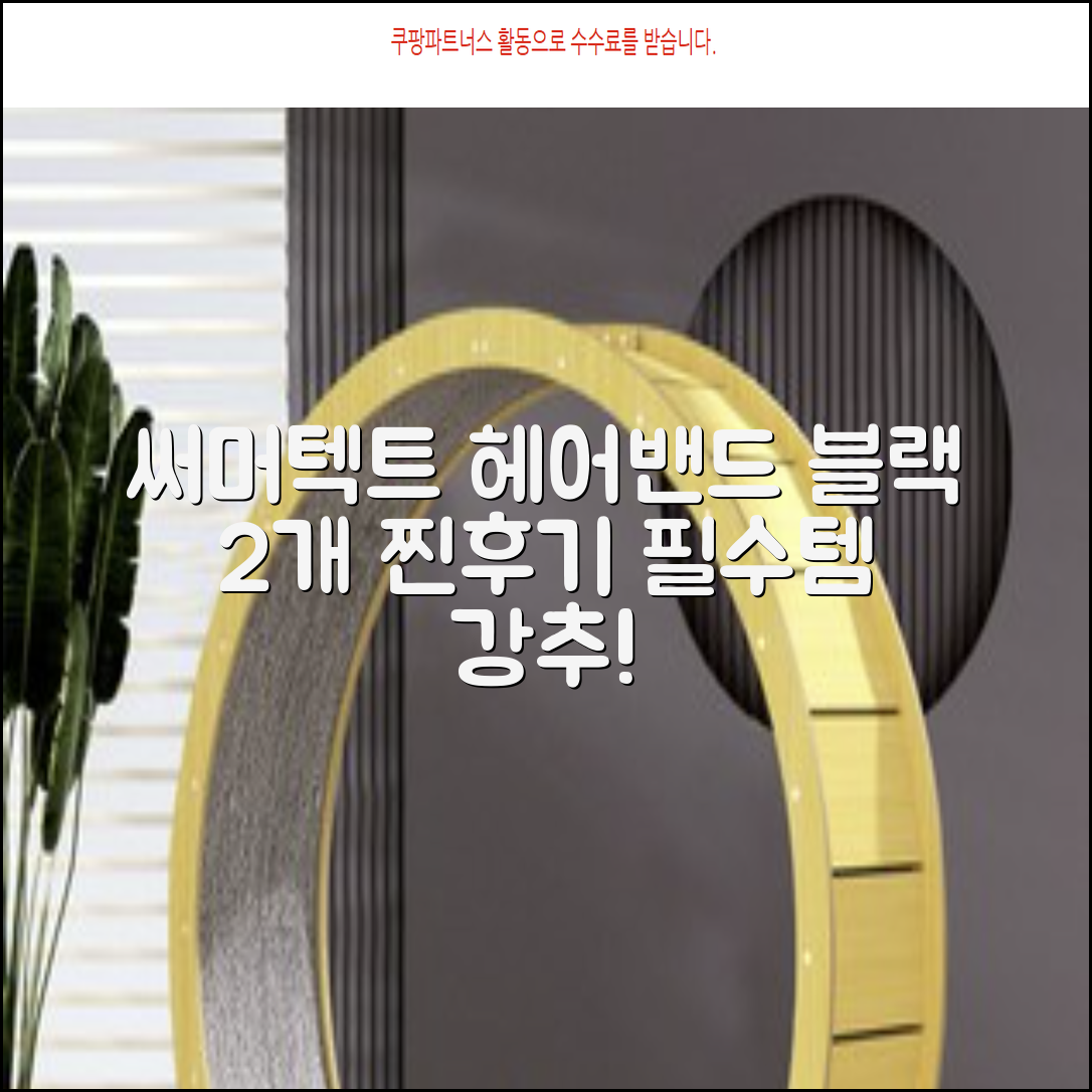 써머텍트 기능성 헤어밴드, 블랙, 2개 추천 리뷰