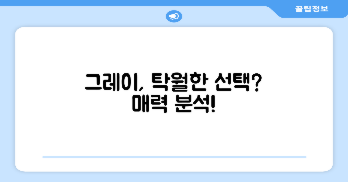 그레이 색상, 탁월한 선택일까?