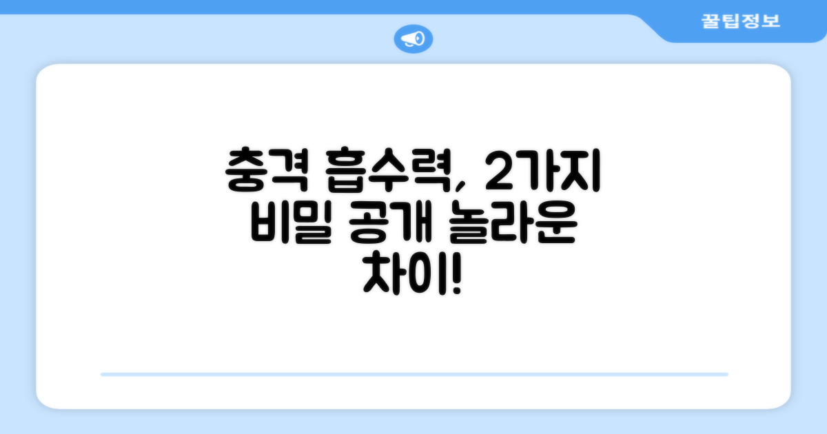 2가지 충격 흡수력