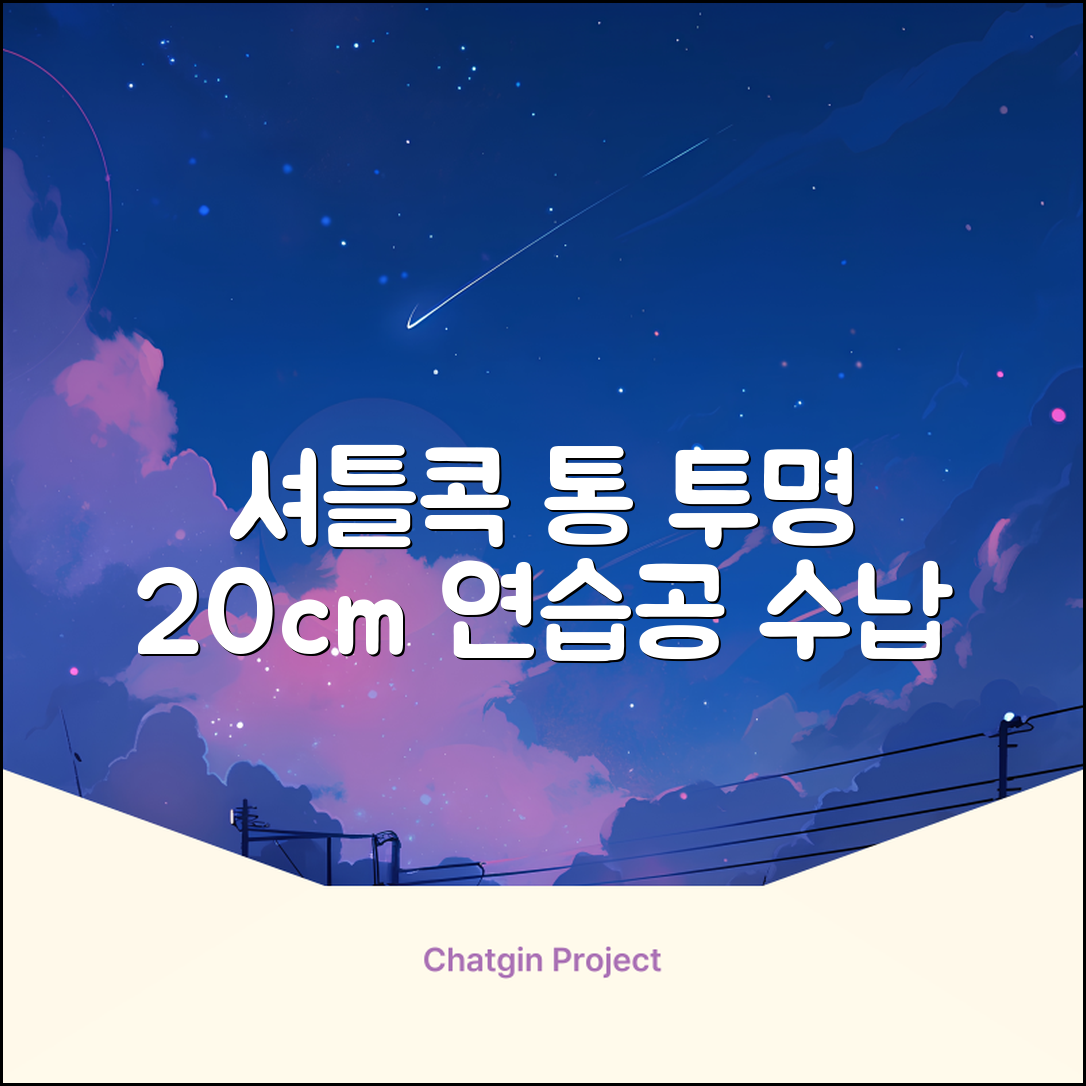 셔틀콕 보관통 원형 투명 배드민턴 공 보관 정리 체육관 연습공 수납 디스펜서 케이스, 투명20cm(5콕), 1개, 1개입 추천 리뷰