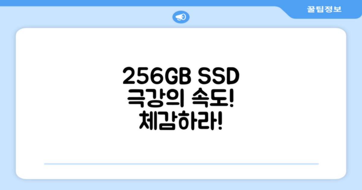 256GB SSD, 속도를 느껴보세요!
