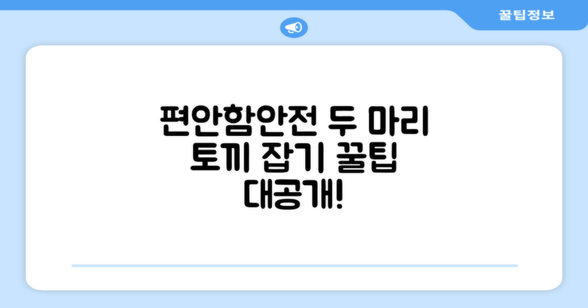 편안함과 안전, 두 마리 토끼 잡기