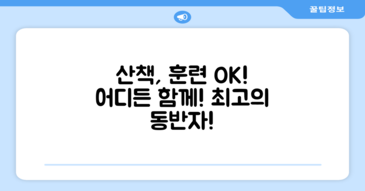 산책, 훈련, 어디든 OK!