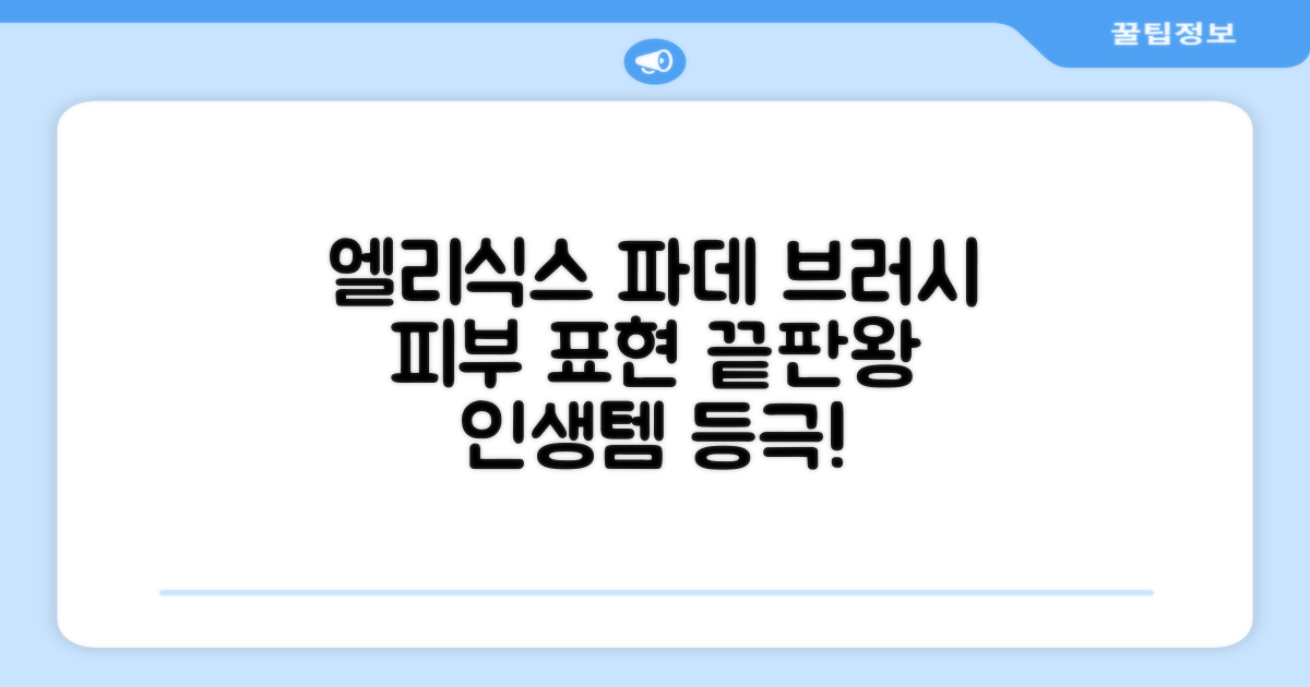 엘리식스 파데 브러시 써보세요