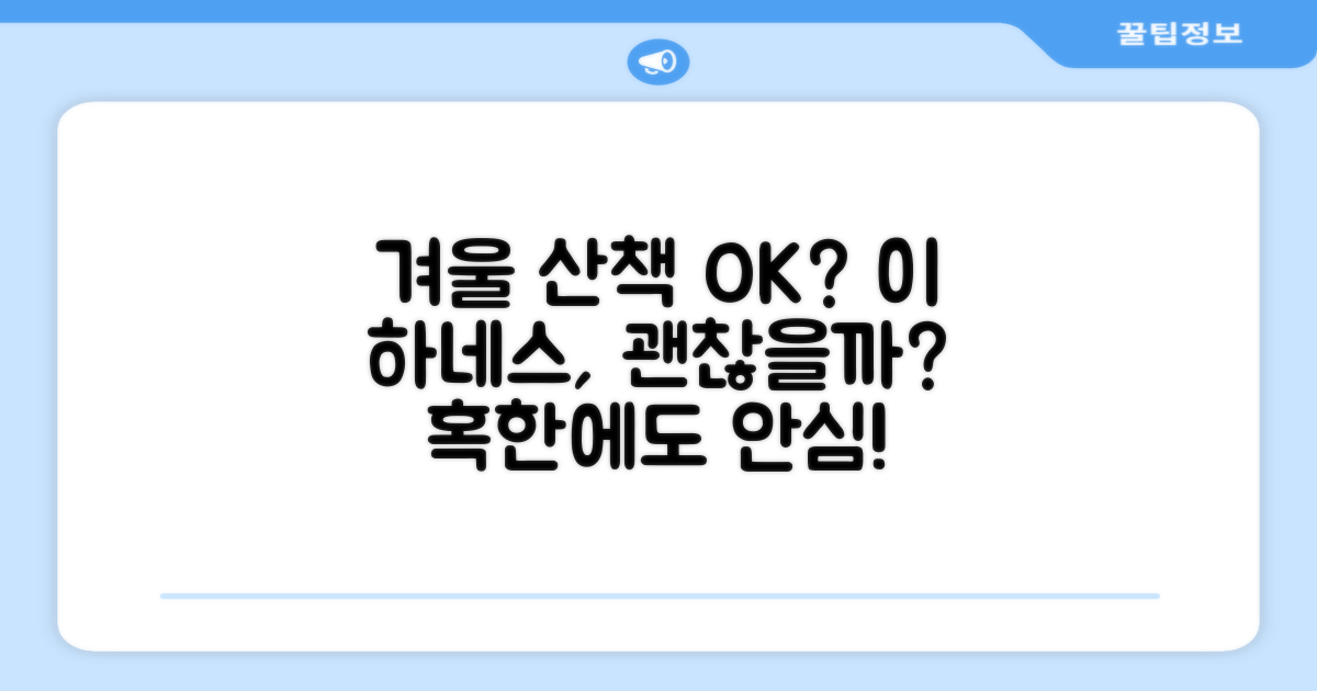 이 하네스로 겨울 산책 OK?