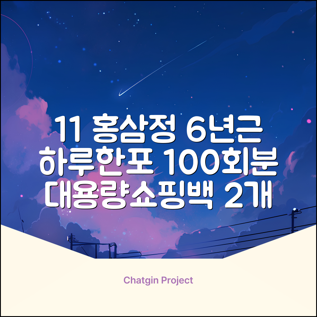 [1+1 특가] 홍삼정 6년근 하루한포 100회분 대용량+쇼핑백, 2개, 1L 추천 리뷰
