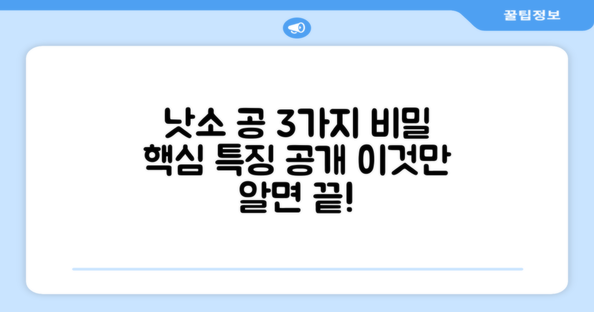 3가지 낫소 공의 특징