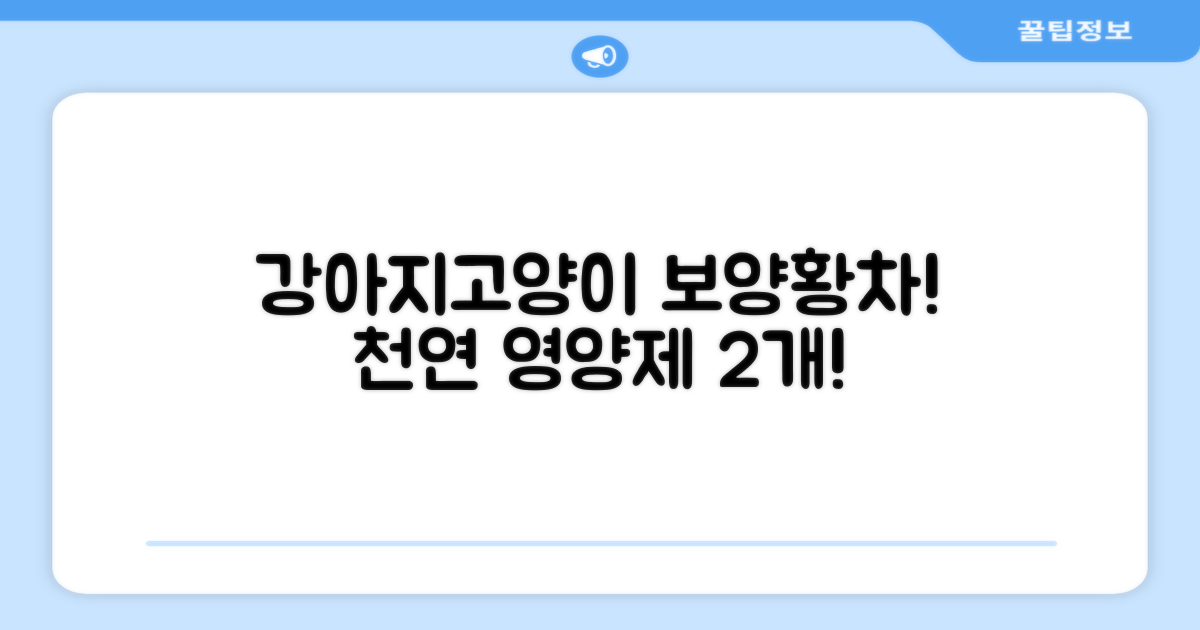 더보양 보양황차 강아지 고양이 마시는 천연 영양제, 280ml, 2개 추천 리뷰