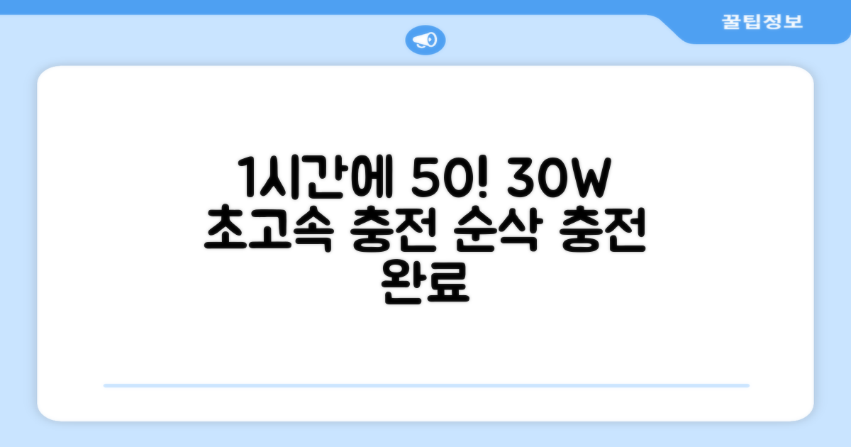 30W 충전기, 1시간만에 50%